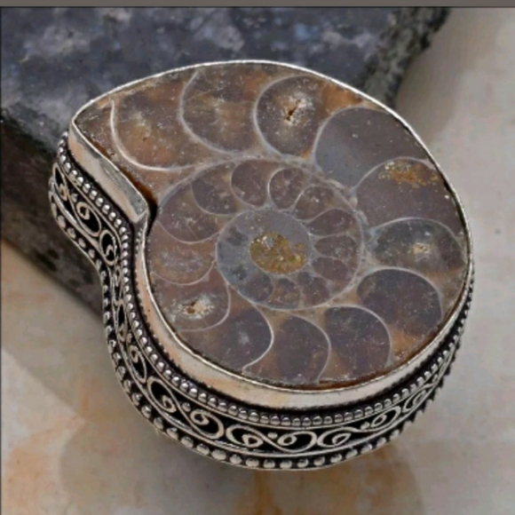 New Amonite Fossil 925 Silver Ring. - Picture 1 of 1